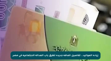 زيادة المواليد.. تفاصيل إضافة جديدة تطرق باب العدالة الاجتماعية في مصر